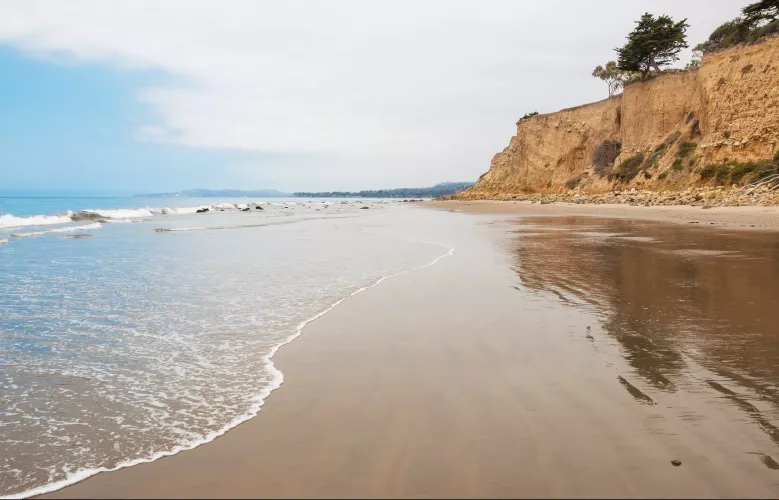 Manifisting.... by Miserable_Article196