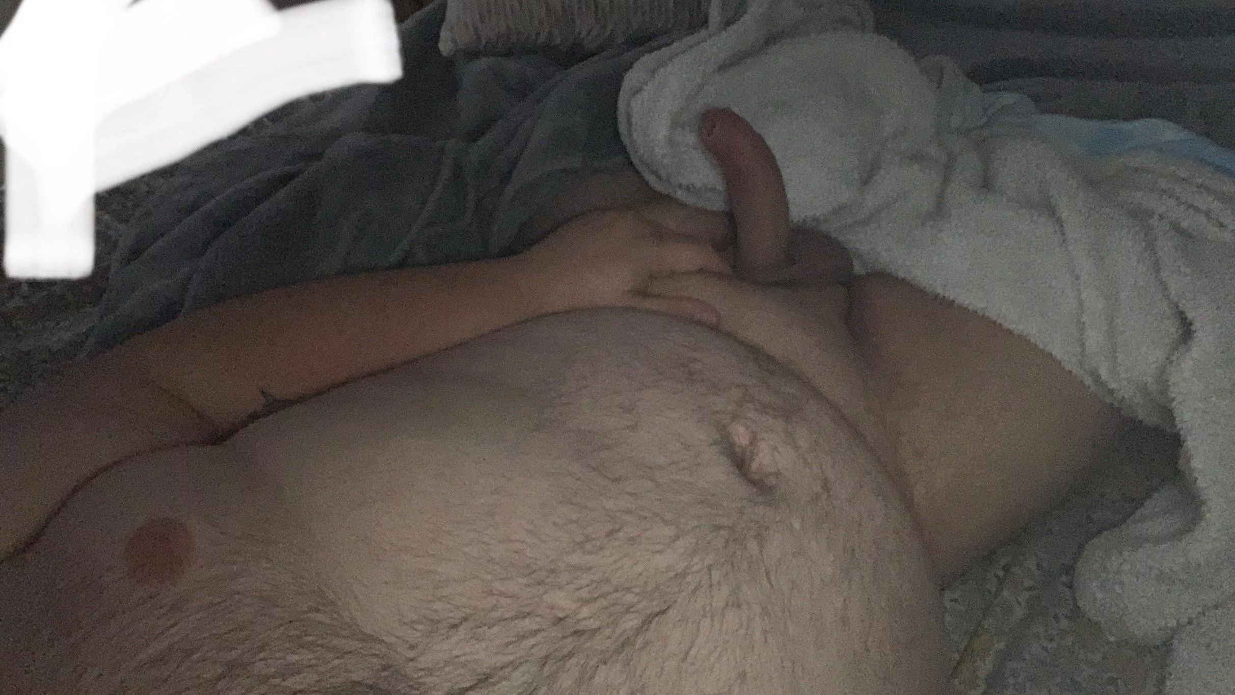 Morning, any company posted by widlad94