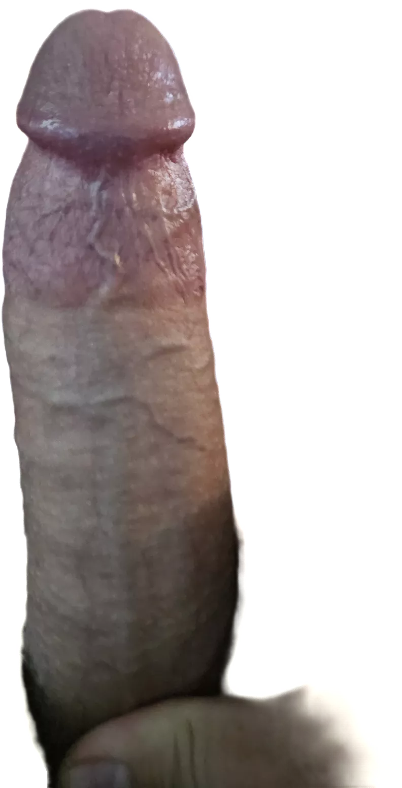 New phone photo feature. posted by Shoalhaven-Dragon