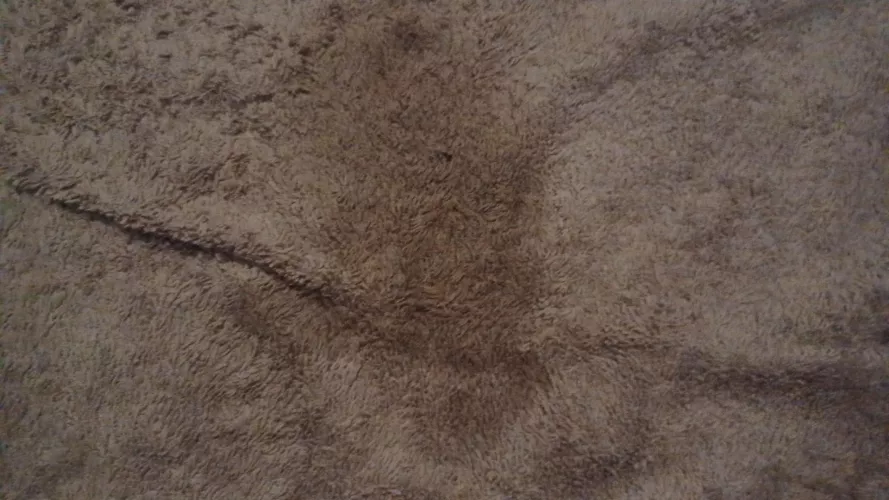 Wet spots by BewilderedGirl96