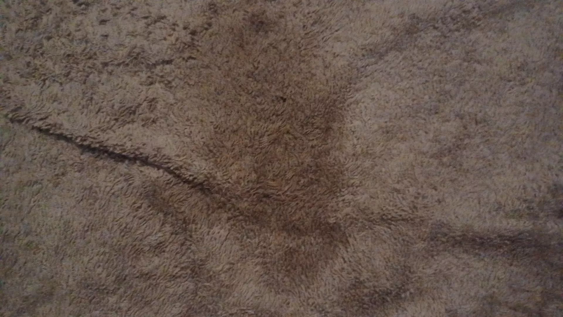 Wet spots posted by BewilderedGirl96