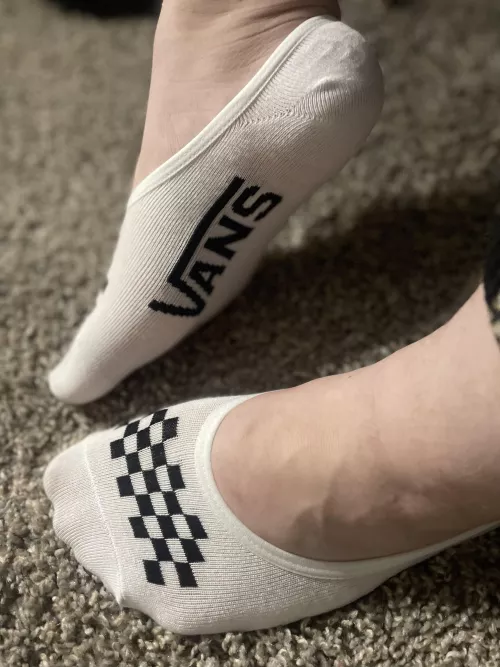 white vans no-shows [f] by Top_Peace_5439