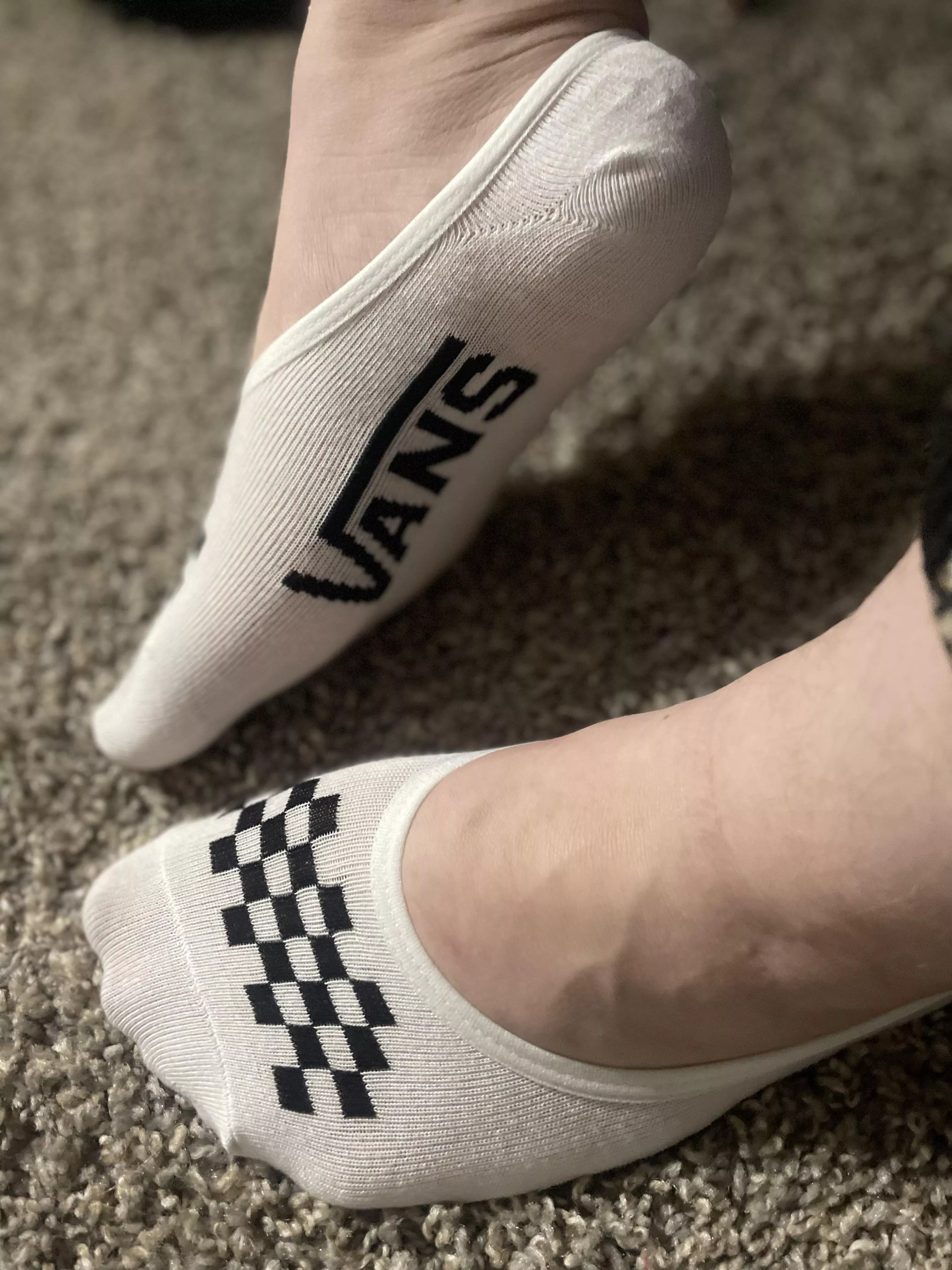 white vans no-shows [f] posted by Top_Peace_5439