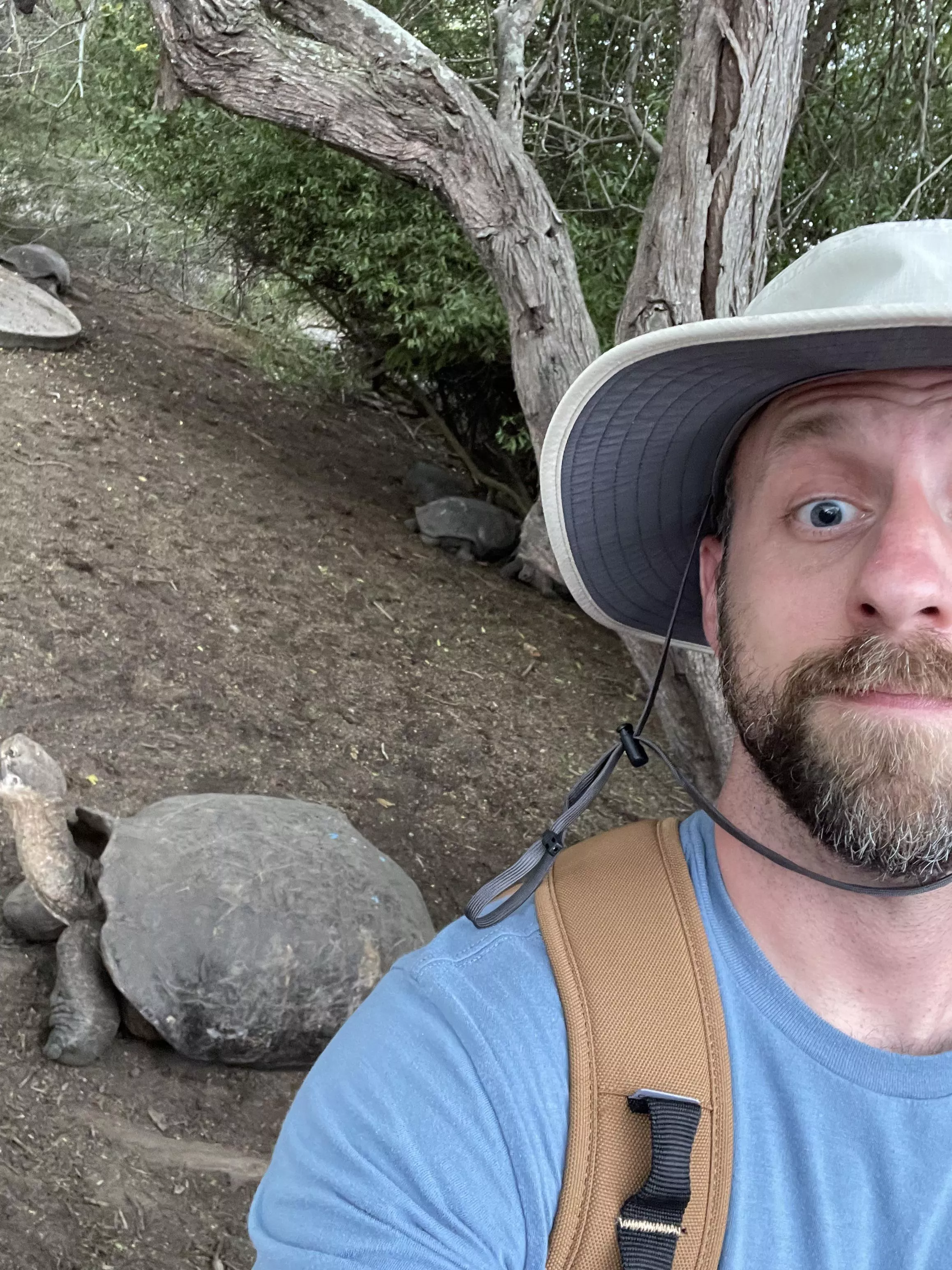 Wild Thornberry Vibes posted by Dull_Proposal_1582