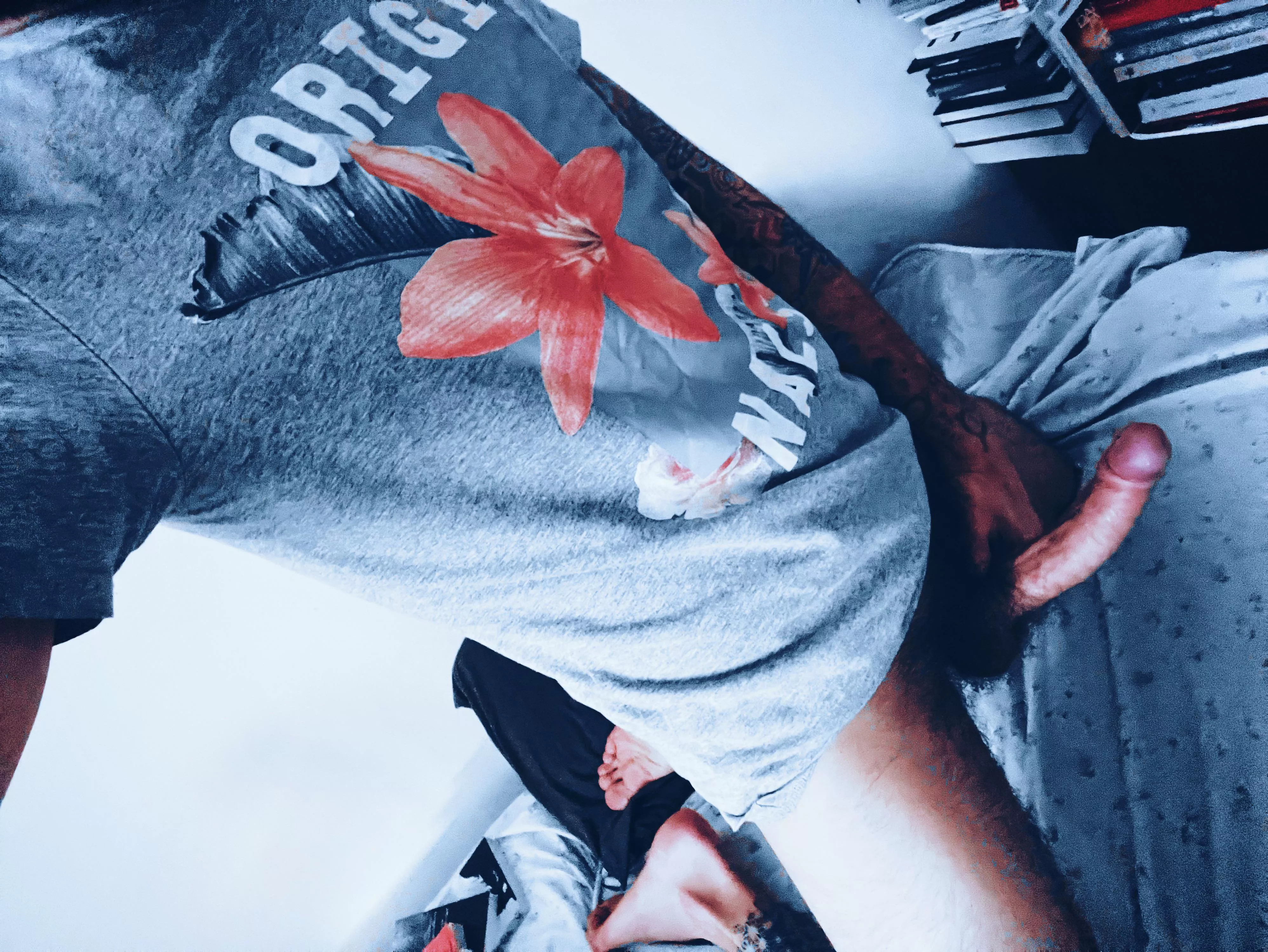 Your face would look better between my legs. posted by Complex-Love-7354