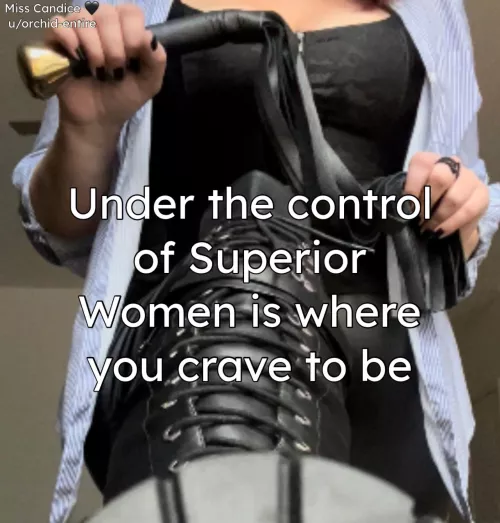Being controlled by a Domineering Superior is your dream. Serving Powerful Women is your sex life. by Orchid-Entire