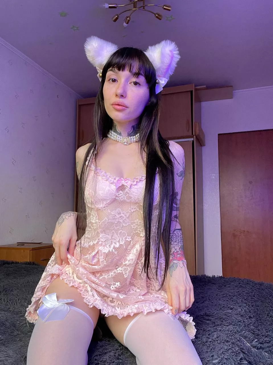 breed this kitty posted by NoOrganization6269