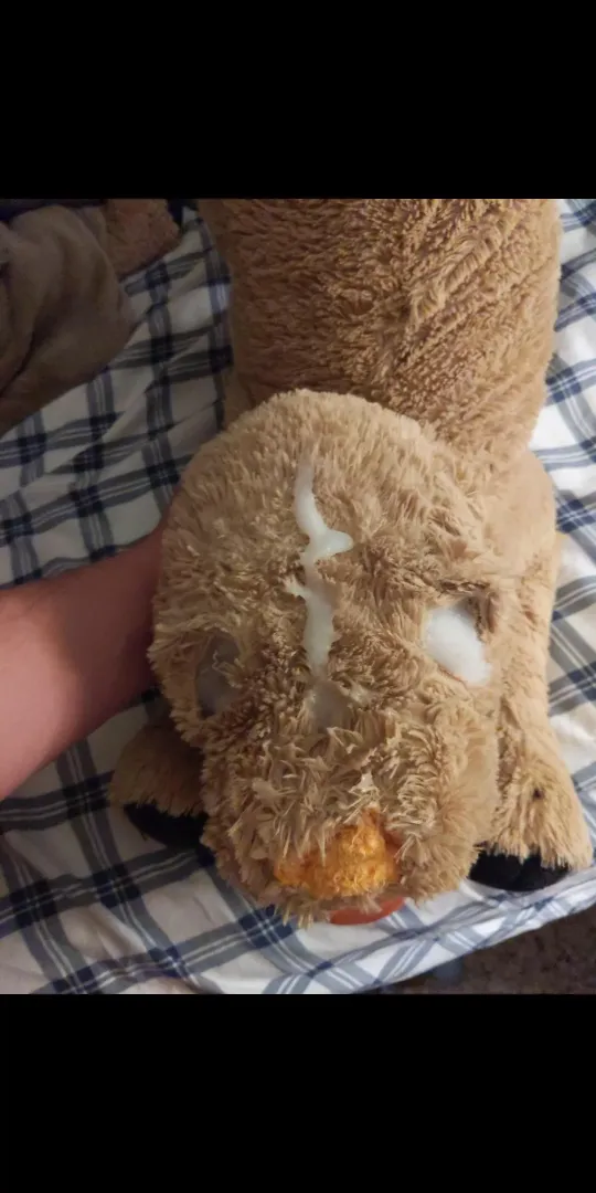 Cum on plushie, be my lil slutty hehe posted by josiesundance