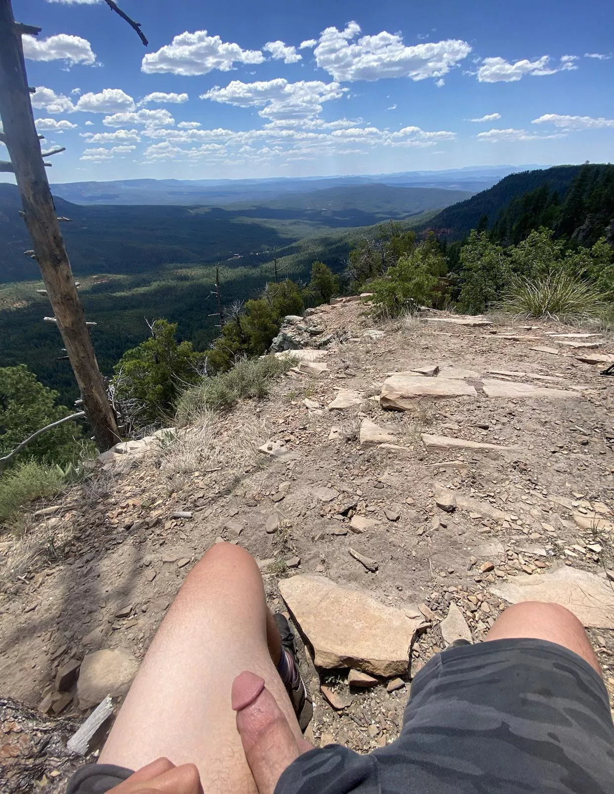 Dick with a view posted by SuccessfulAd8724