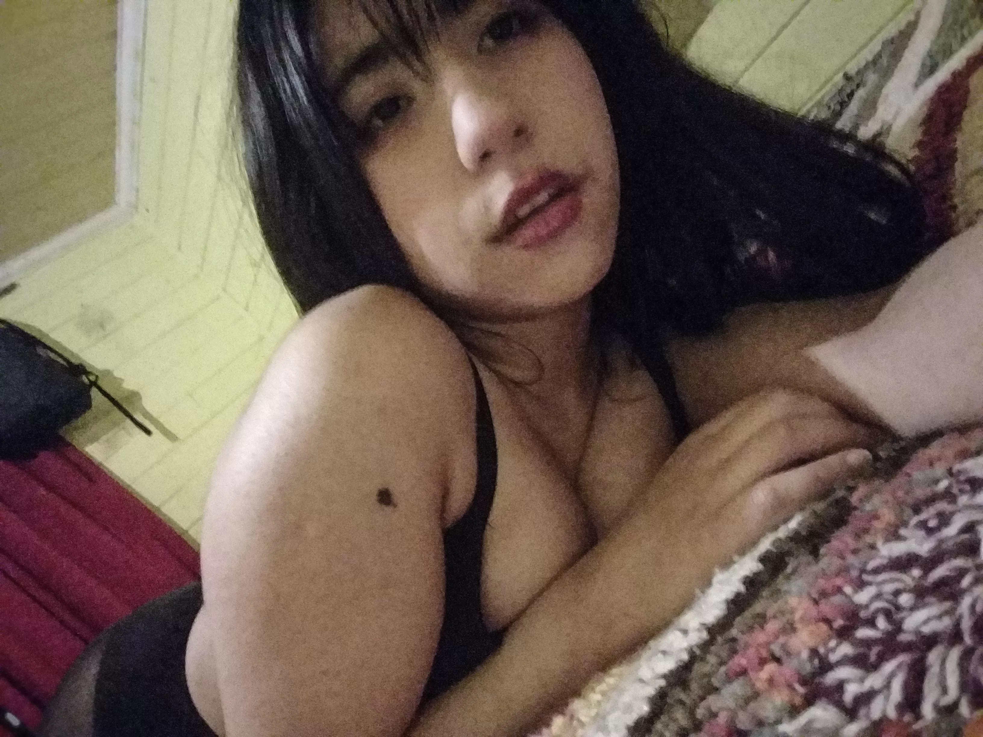 Do you let me to lay on your lap? posted by gravuregirl