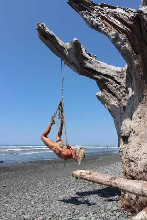 Enjoying a Weekend on the Olympic Coast - P1 by JQuest7575