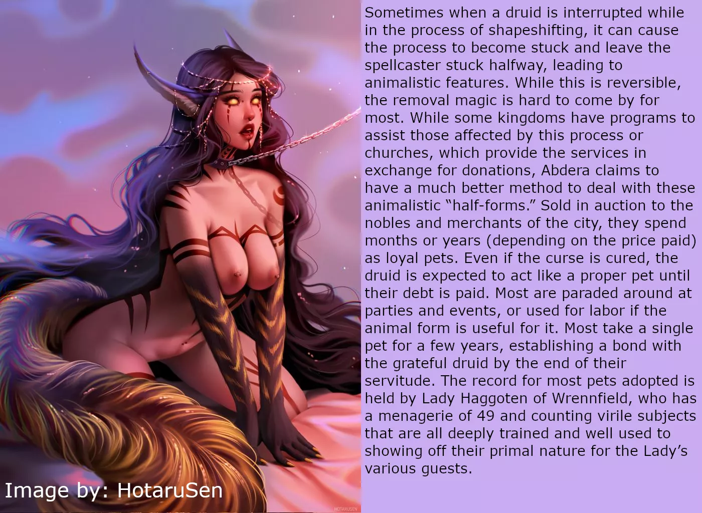 Fantasy 05: Helpful Shapeshifting Mishap Program [Image by: HotaruSen] [Female] [Animal Girl] [Elf] [Pet Play] [Implied Sex] [Indentured Servitude] posted by Trixytail