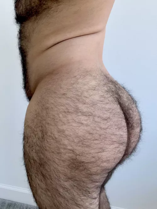 For all my followers asking if the back is as hairy as the front… This is for you 🍑 by SirFigaro