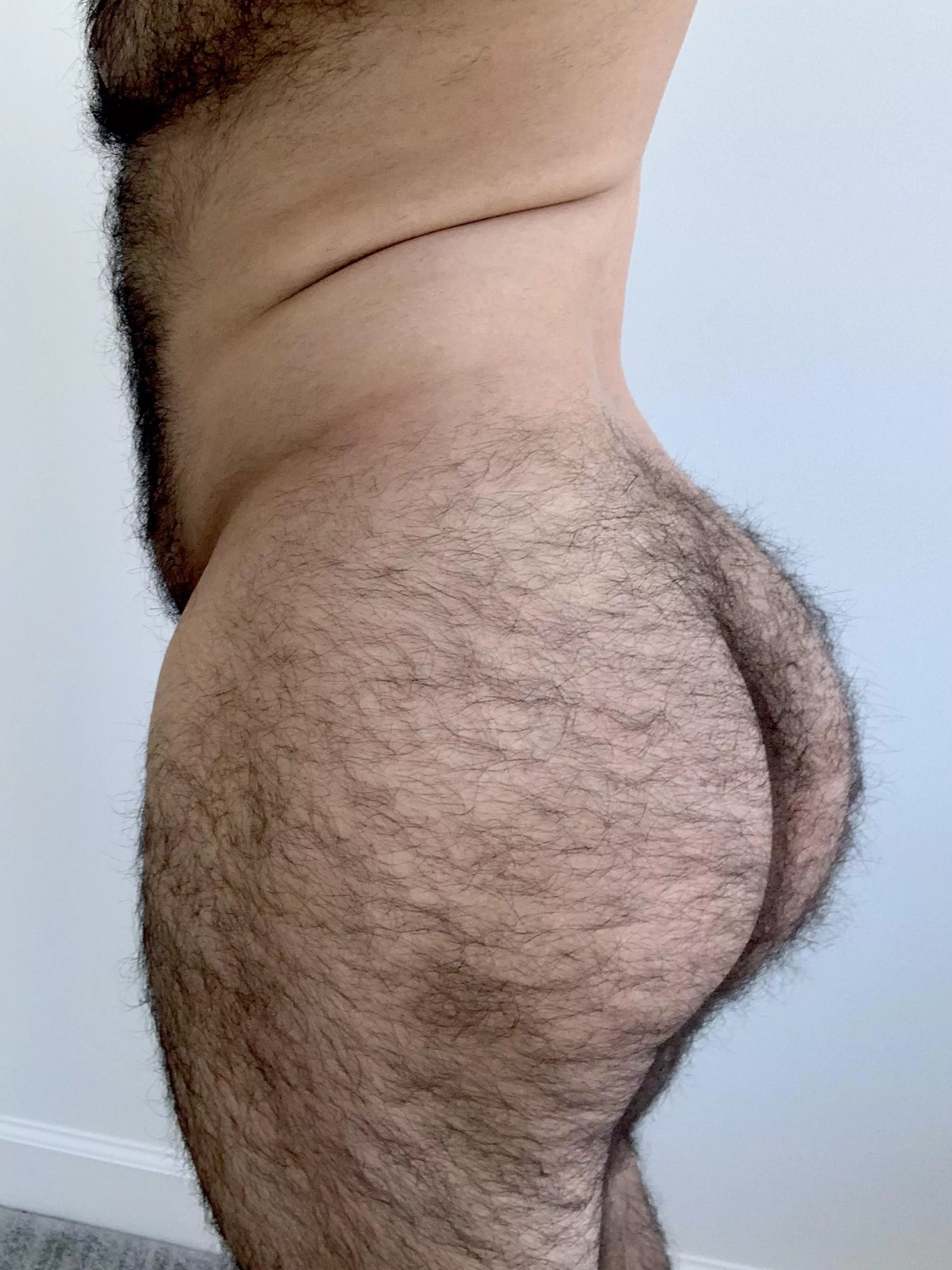 For all my followers asking if the back is as hairy as the front… This is for you 🍑 posted by SirFigaro