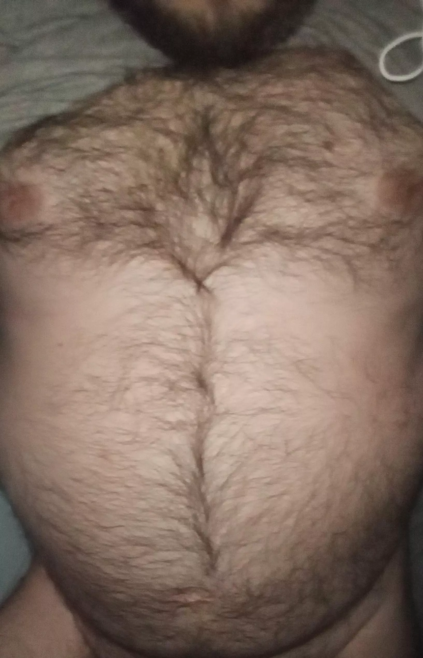 Hairy enough? posted by Ok_Potential_9738