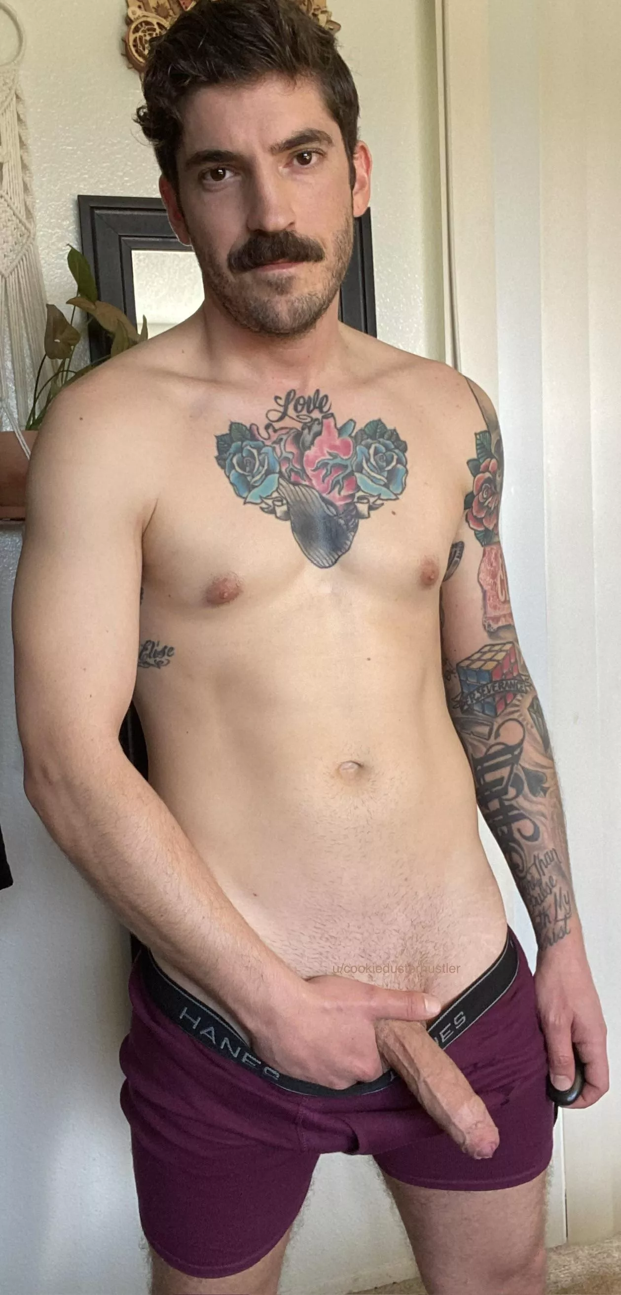 Hanging out posted by cookiedusterhustler