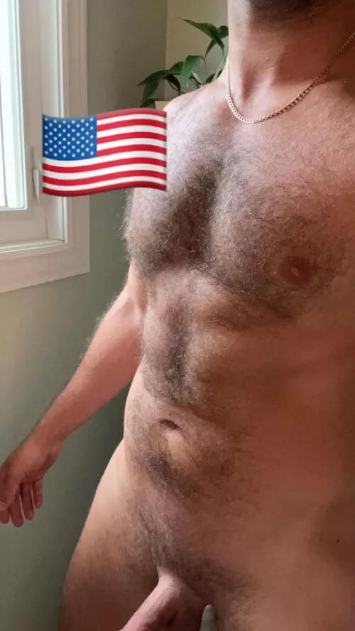 Happy Fourth of July! by northernjock