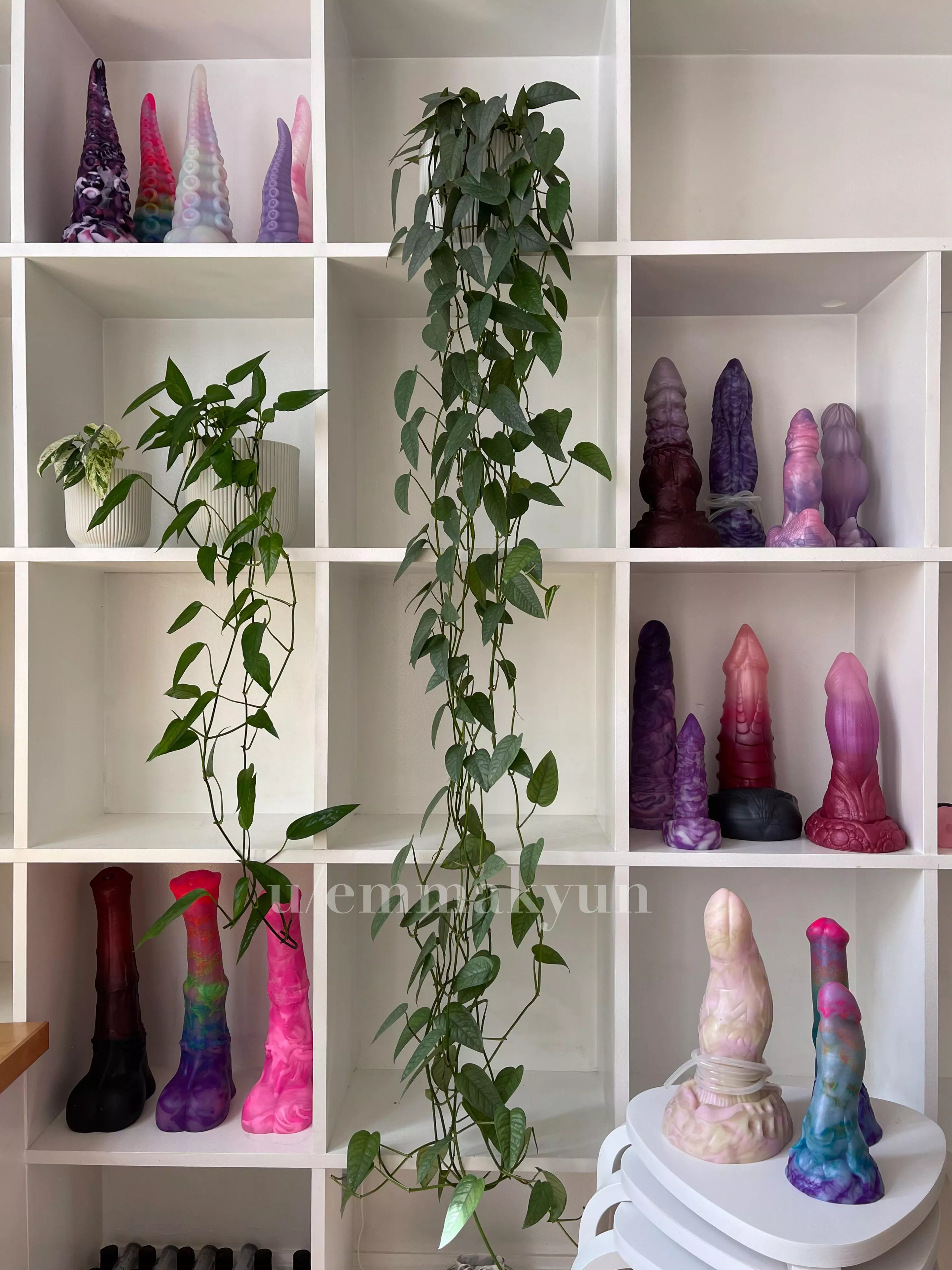 i rearranged my ✨special shelf✨ yes thats 5 ika models shhh posted by emmakyun