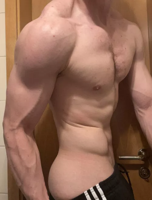 [M] Post workout pump by Empaaah