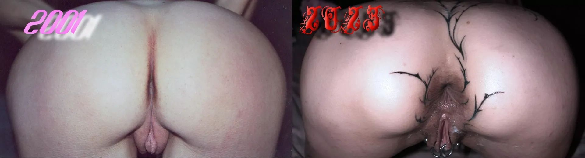 Maybe like this, how my holes have been used and abused during 20 years, is clearer by Still-Werewolf-2662
