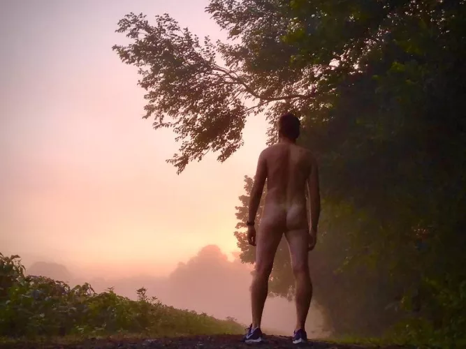 Morning run near a farm by Stickonhead