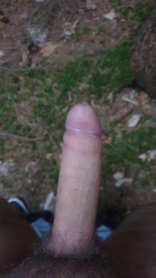 My cock likes it when I drop my pants in the woods. by MightyTower16