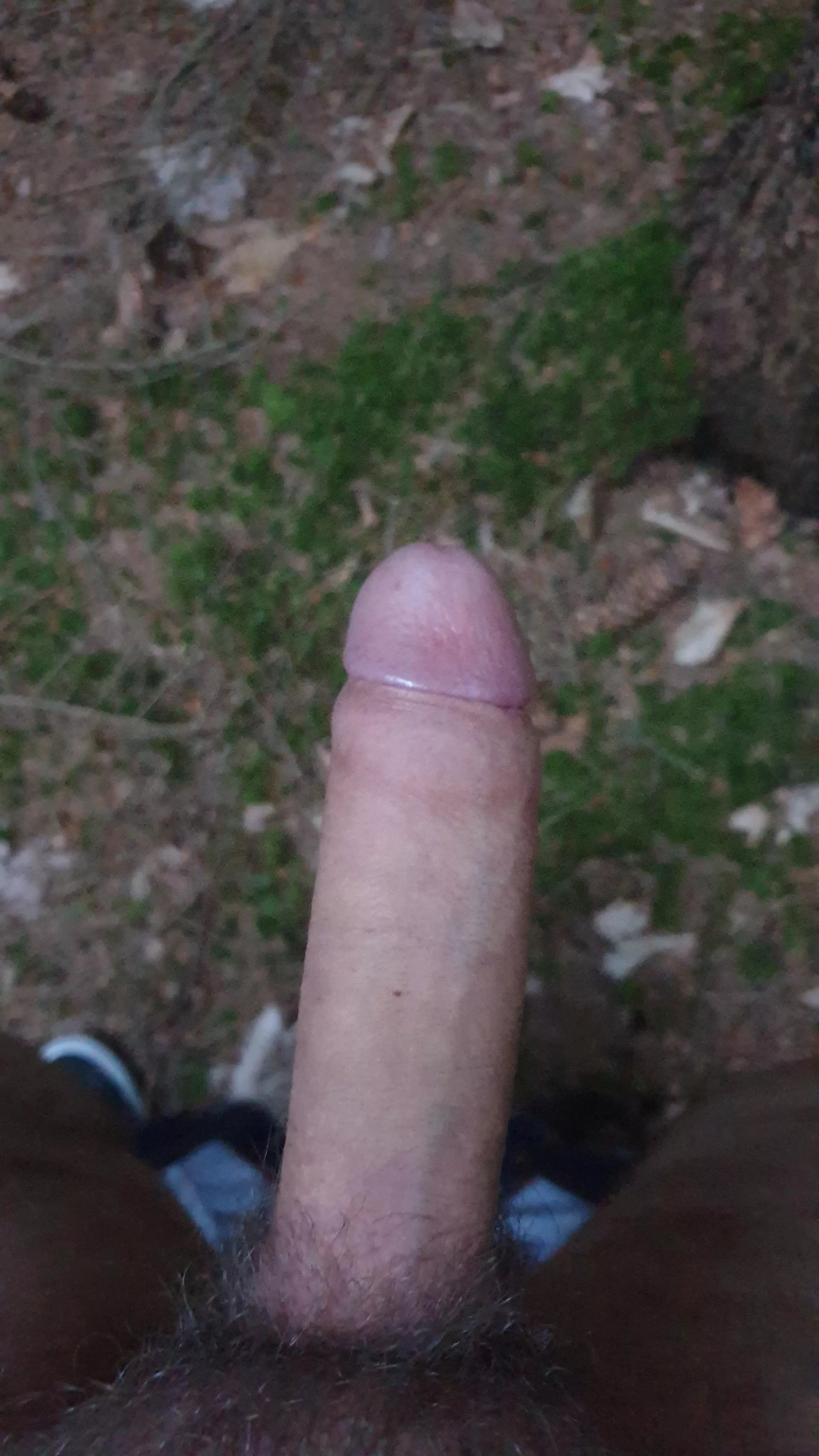 My cock likes it when I drop my pants in the woods. posted by MightyTower16