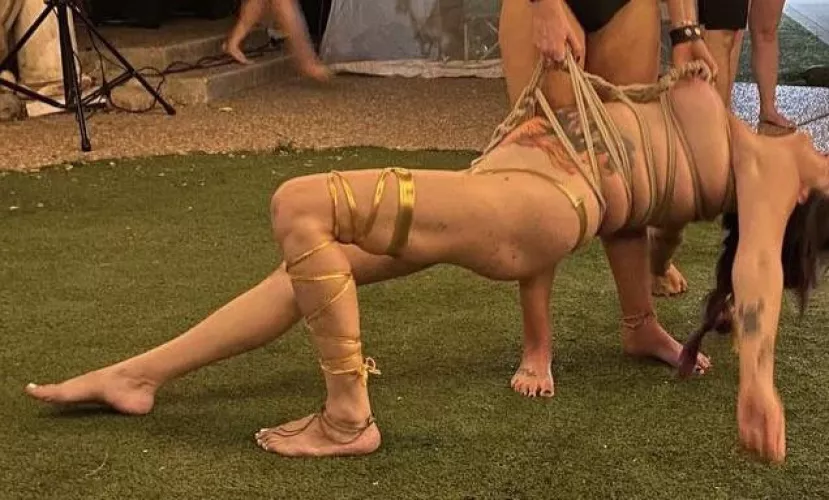 My first bunny experience…I’m addicted now! by Phoenix-36