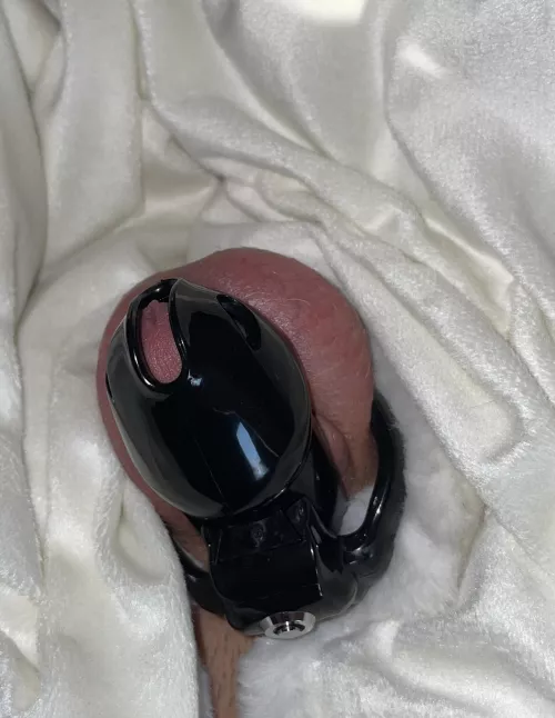 My pretty blue clitty looks amazing draped in white 😇😈 by [deleted]