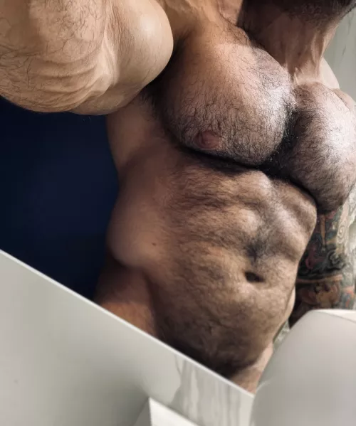 Pedro Augusto by HalcyonRyan