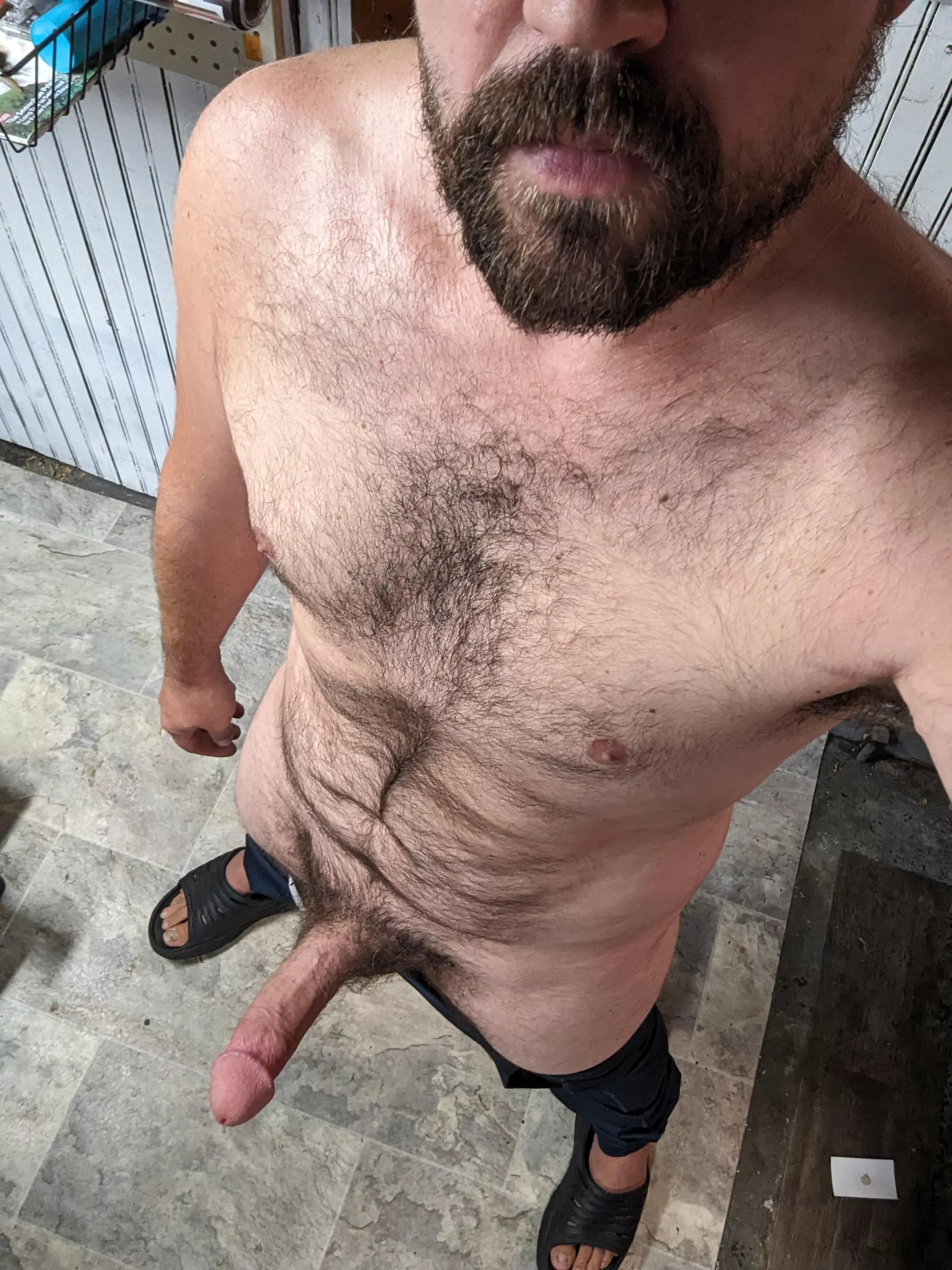 Pent up and ready to make you get it right (37) (m) posted by yourbeardedneighbor