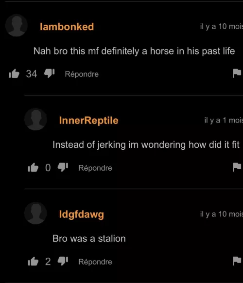 Stalion by Puzzleheaded-Lion-26