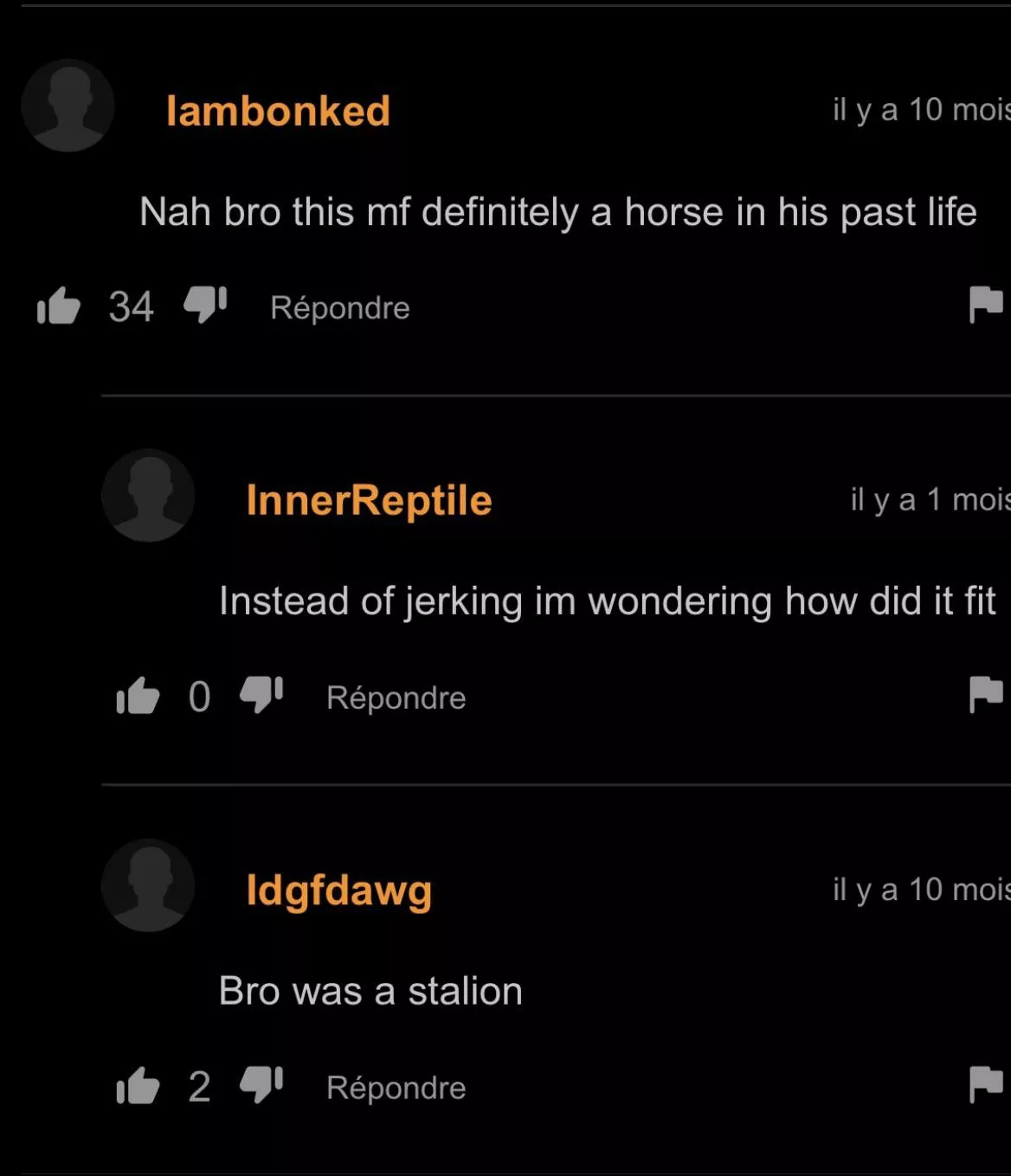 Stalion posted by Puzzleheaded-Lion-26