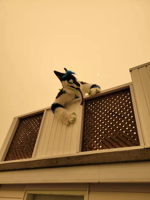 The doors of Hell are open. I AM FREE !!!!! by xXSpartan92Xx