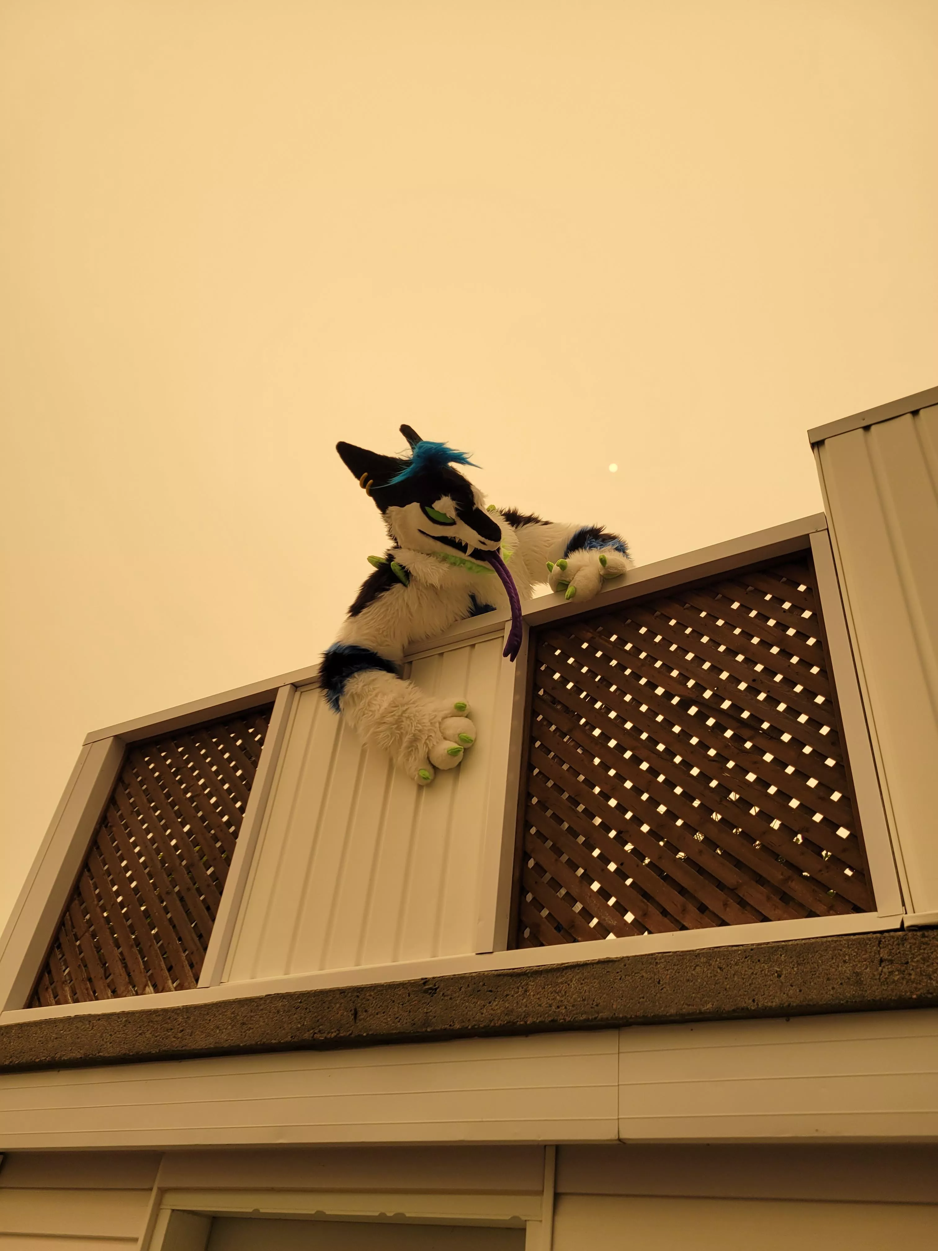 The doors of Hell are open. I AM FREE !!!!! posted by xXSpartan92Xx