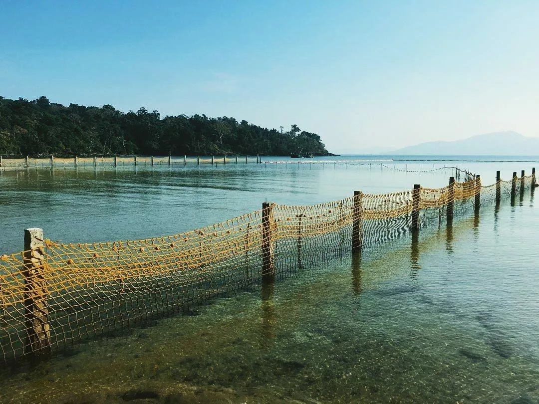 Water’s clear, it’s shallow but it has 🐊. posted by Fresh-Ring-1088