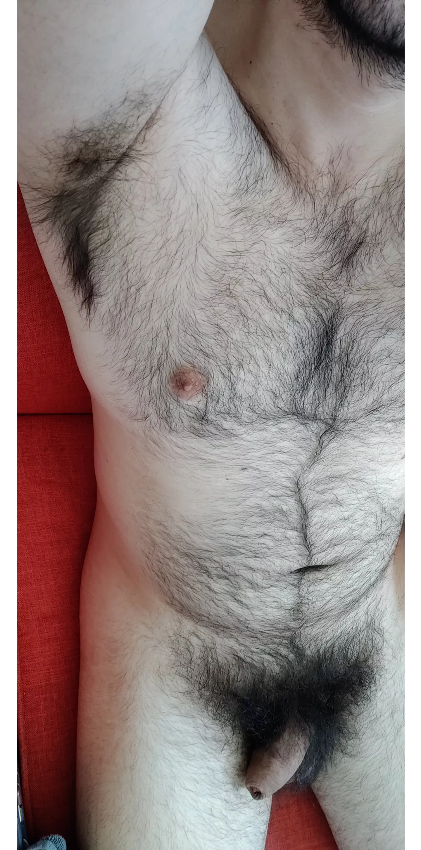 Woof posted by MassiveWeather