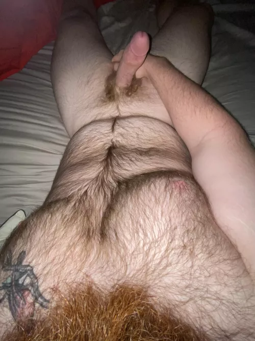 Would you play with me?? by Puzzleheaded_Ad_9423