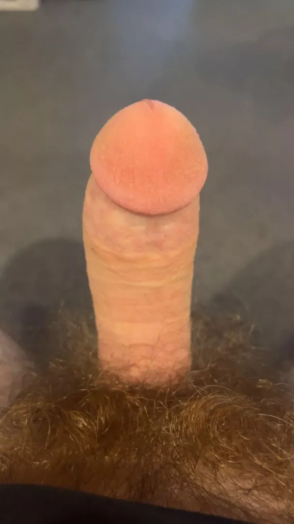 18M first time posting! so nervous for reaction🥲🥴 posted by FatDick420690
