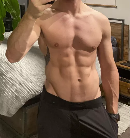 37M - Fit experienced bull looking in NOVA/DC/DMV by ReachEO