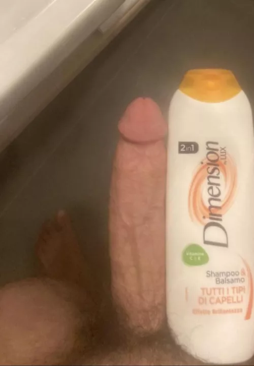 Big dick looking for some tight pussy… who’s interested? by Far-Ad7616