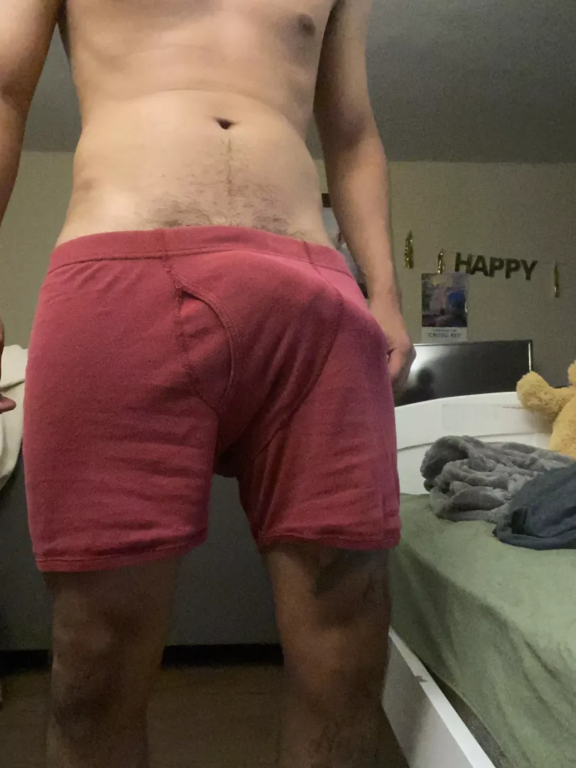 Do you wanna see what I have in my boxers posted by Hungboy619