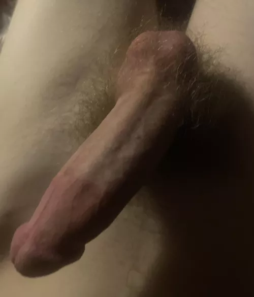 How is it by Gentlemendan