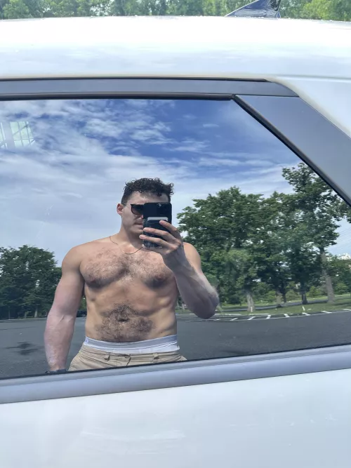 Is this to wild for mild? by DogTrainerArk