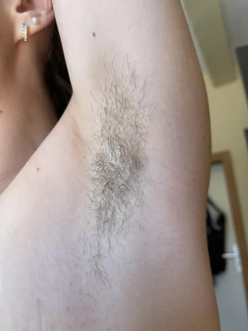 Little closeups for you. by Snobunniee