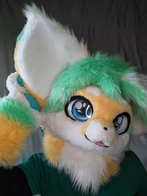 My big ears heard.... Today is Fursuit Friday! (made by me, @puchipuffs on other platforms) by PuchiPuffs