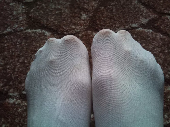 pantyhose anyone ? by maxxx_ivo