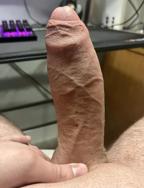 Rate my uncircumcised cock by NotInterestedHaHa