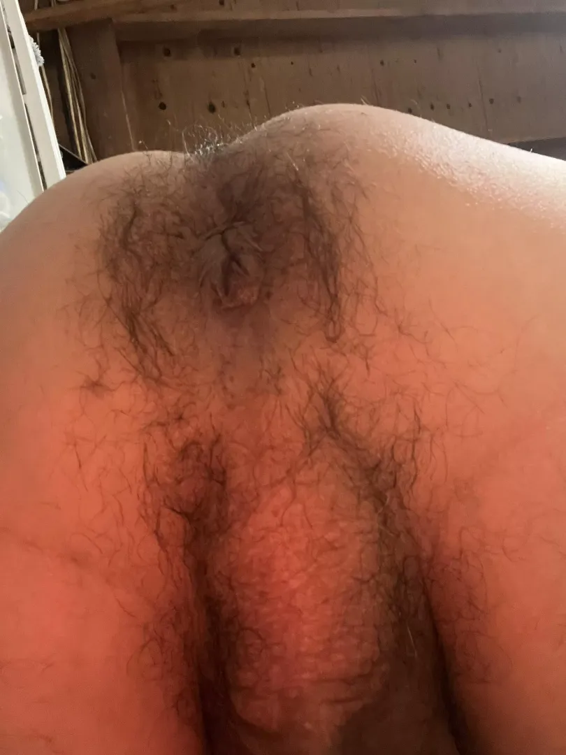 Should I keep it hairy? posted by dnj2001
