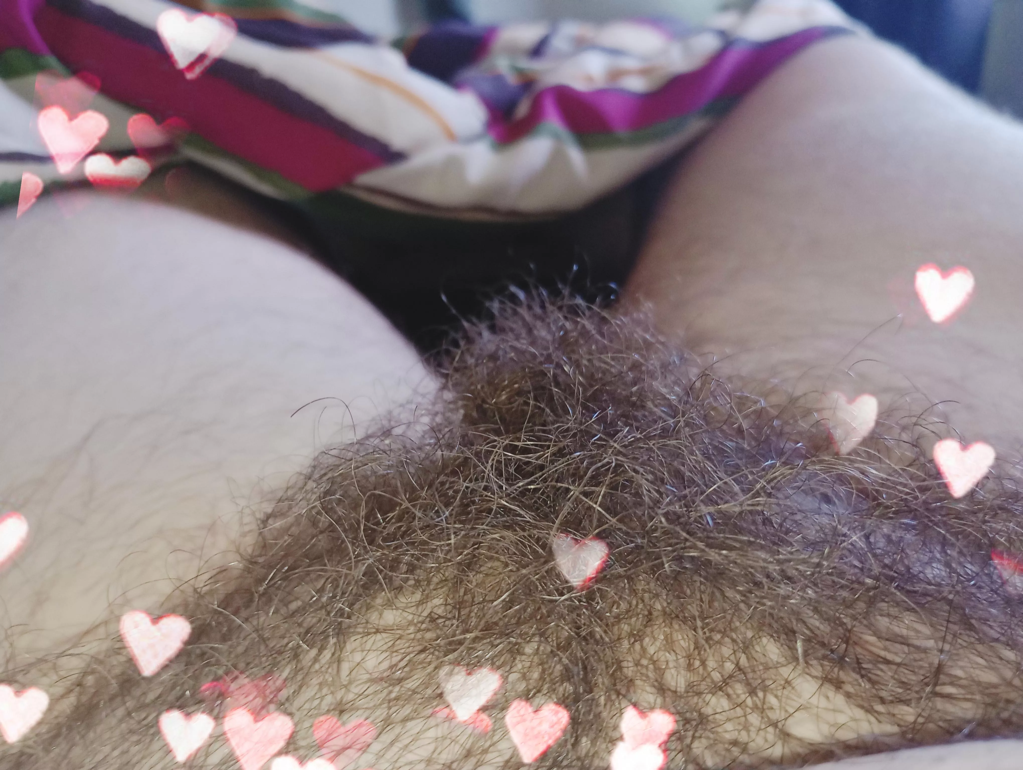 Thinking of cutting off my bush 18F virgin posted by Huge-Significance831